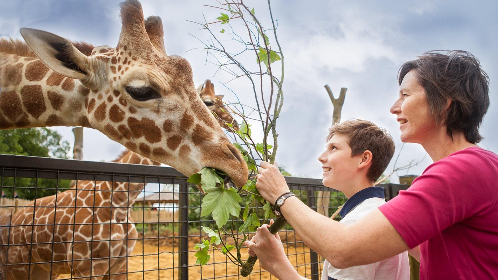 su that ve so thu anh 8