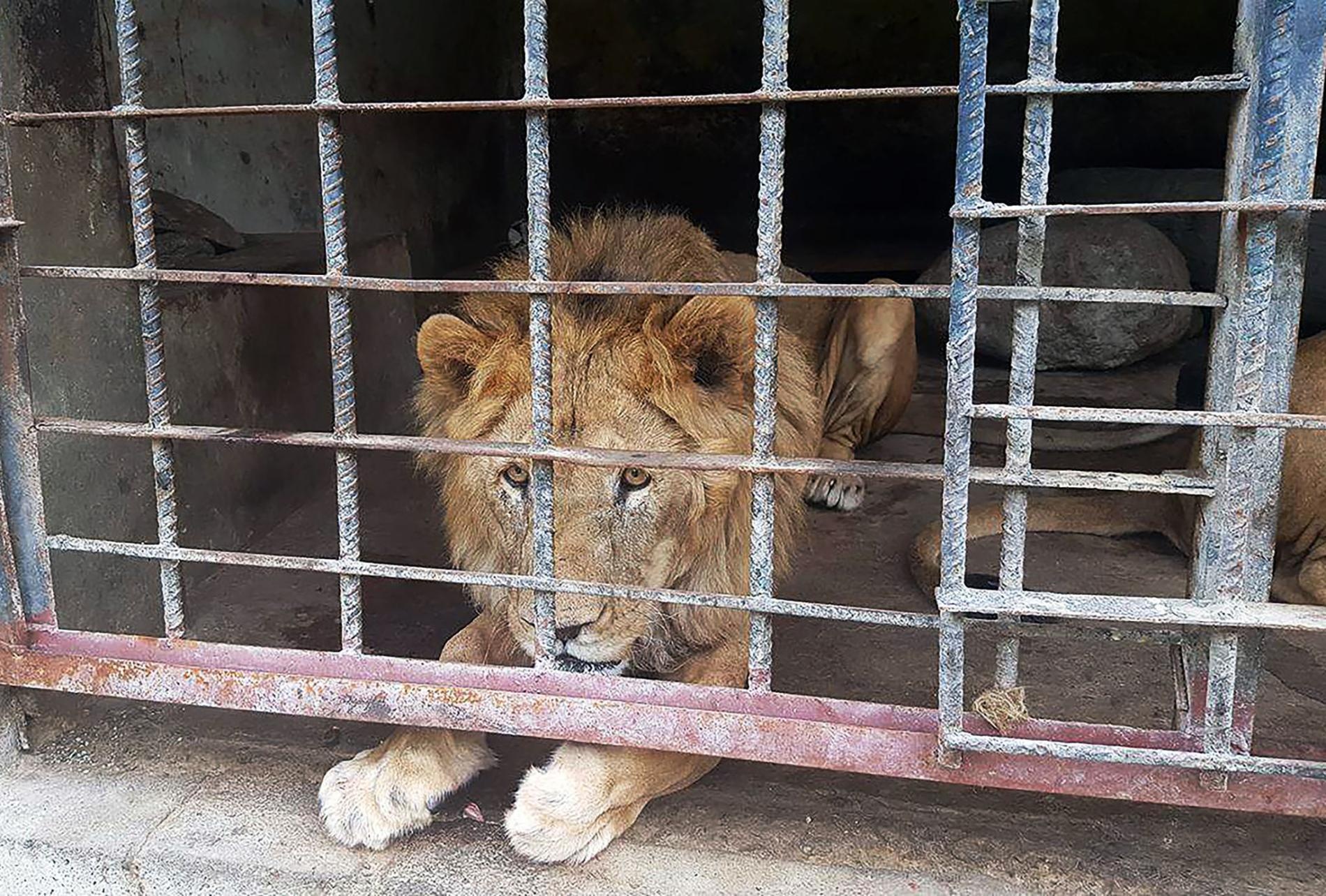 su that ve so thu anh 1