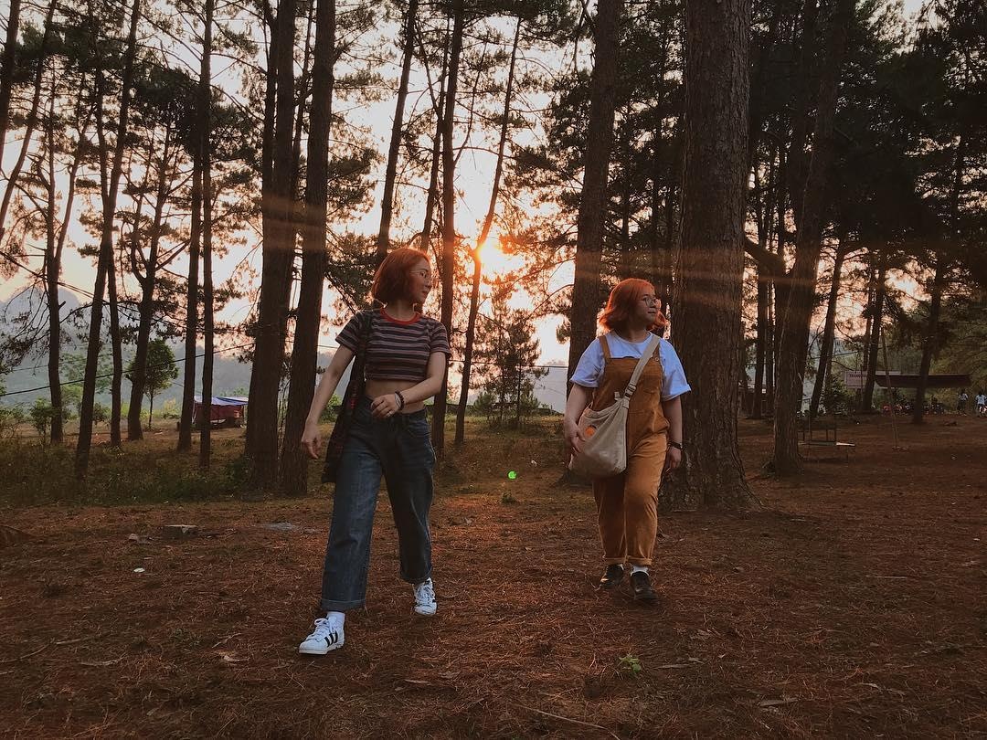 rung thong viet nam anh 3