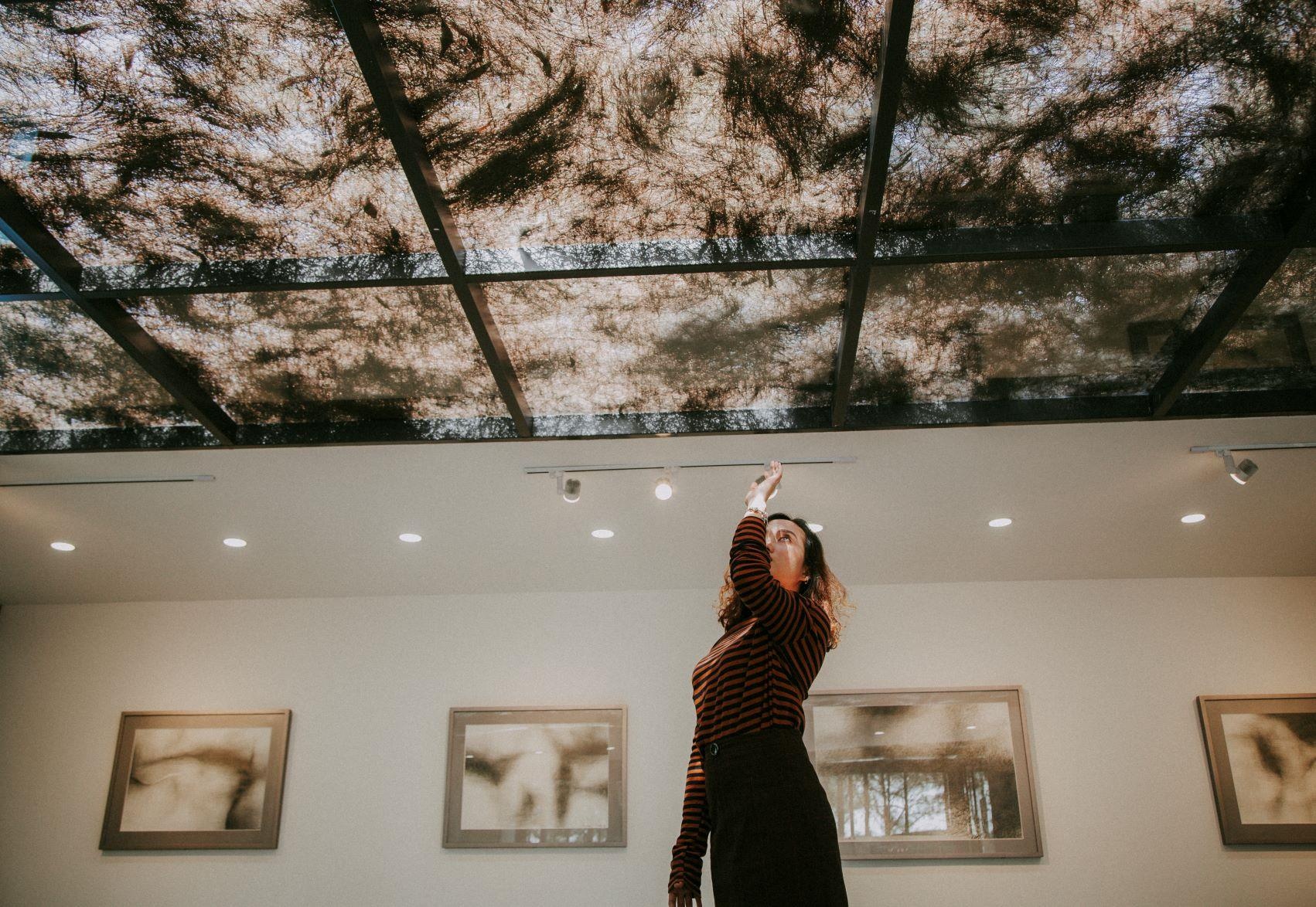 rung thong viet nam anh 9