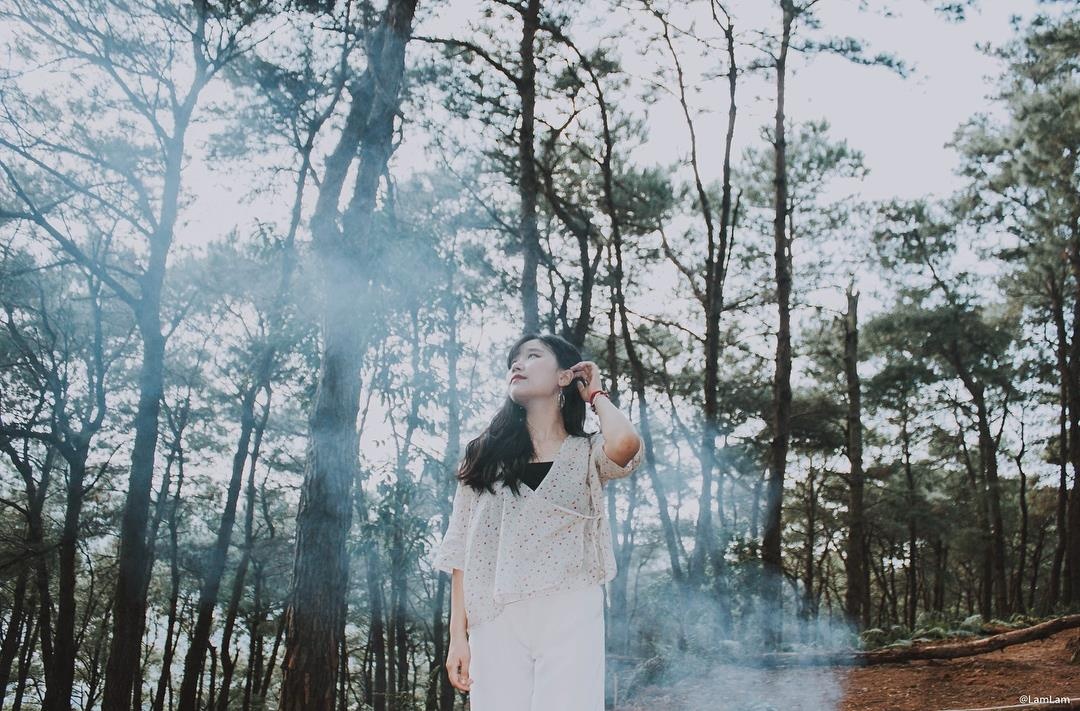 rung thong viet nam anh 13