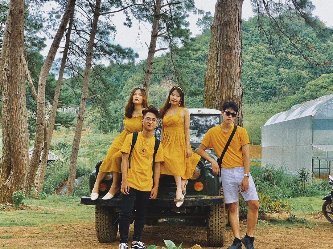 rung thong viet nam anh 5