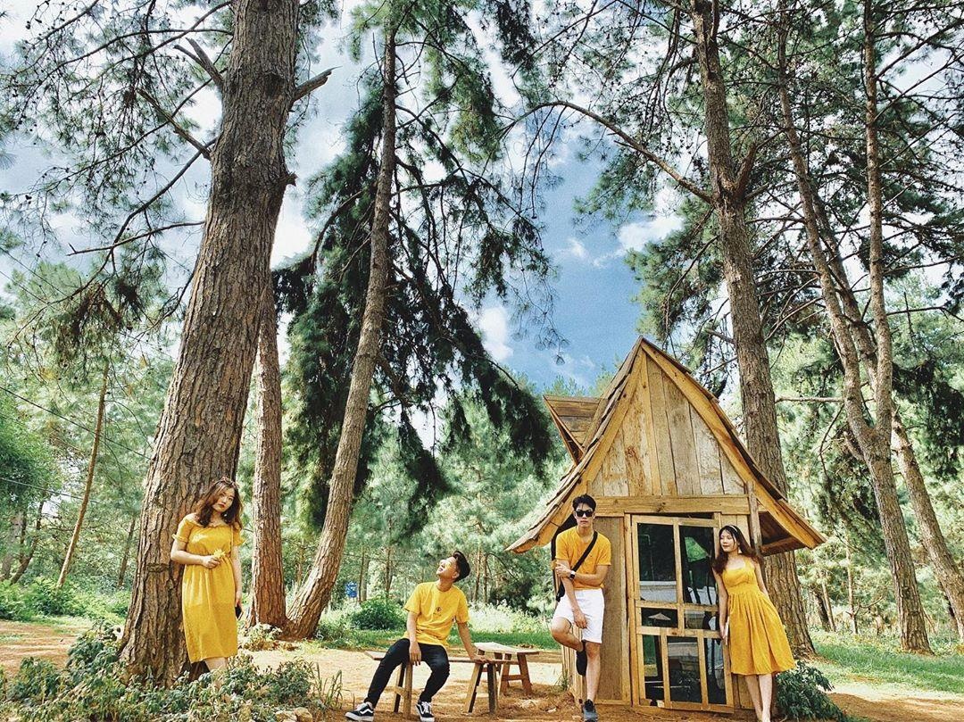 rung thong viet nam anh 4