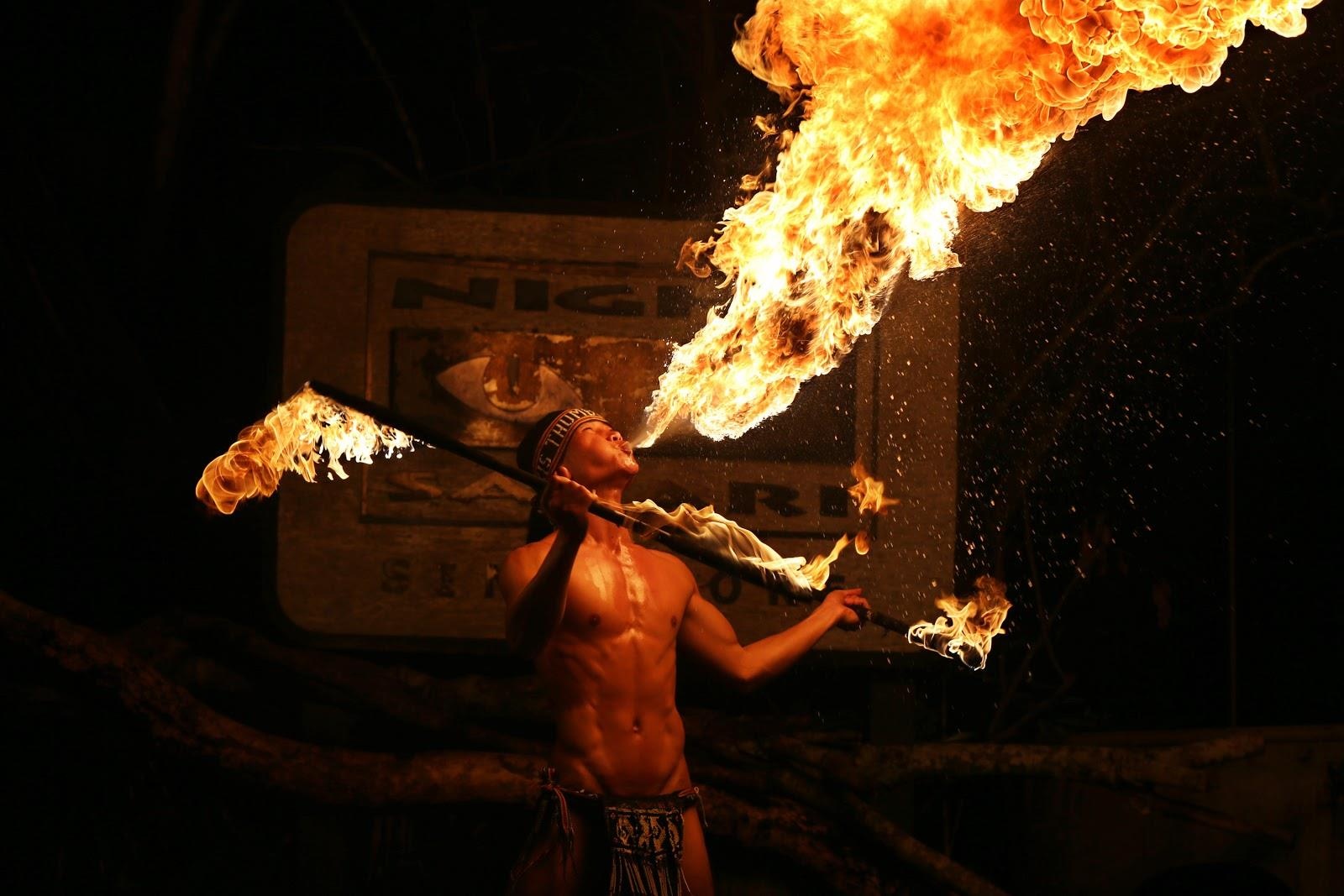 vuon thu dem singapore anh 6