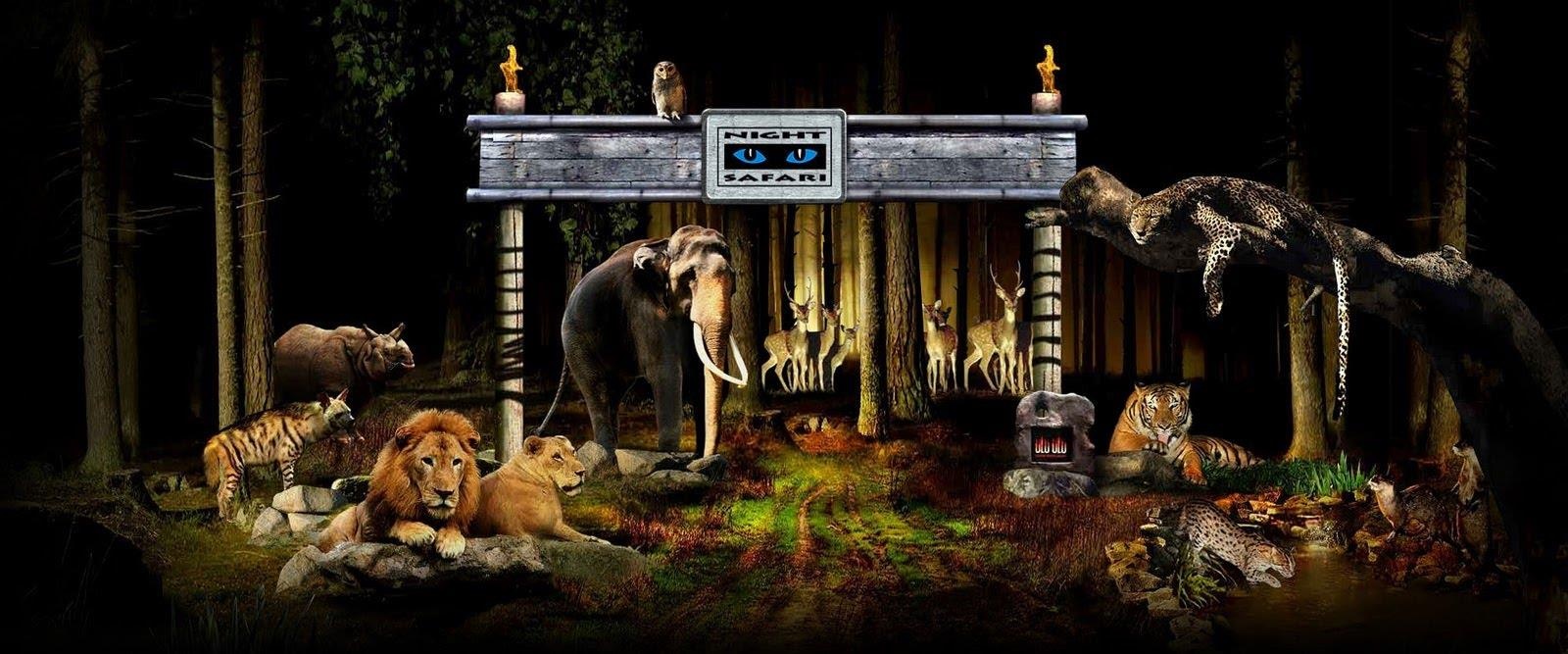 vuon thu dem singapore anh 1