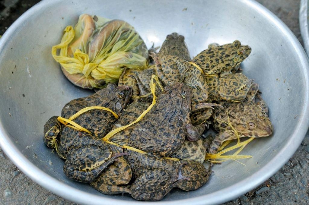 am thuc viet nam anh 5