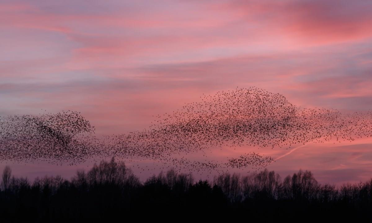 cau vong mat trang anh 5