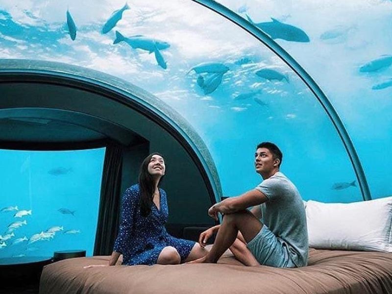 Trai nghiem ngu duoi bien gia 50.000 USD hinh anh