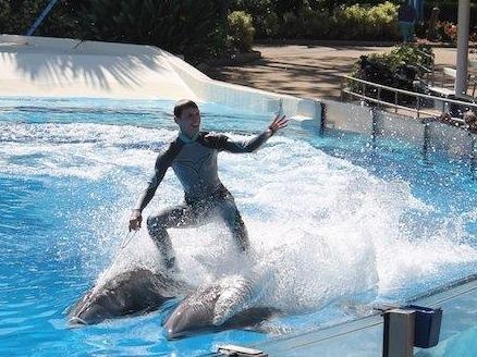 Giam len mieng, ep ca heo lam van luot song de mua vui hinh anh