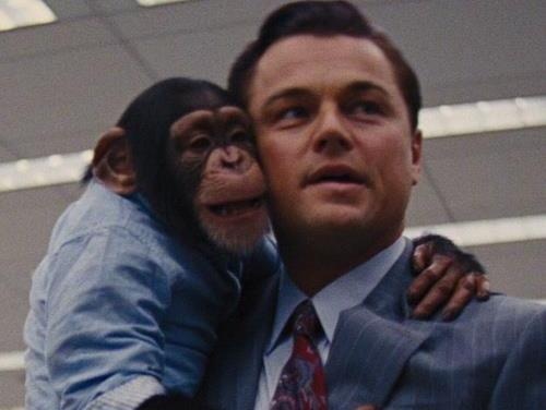 Tinh tinh dong 'Soi gia pho Wall' het thoi, phai di dien xiec mua vui hinh anh