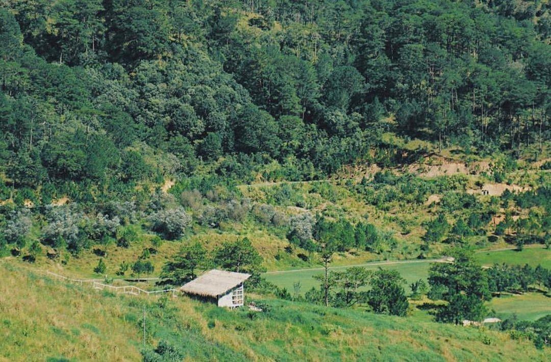 du lich da lat anh 19