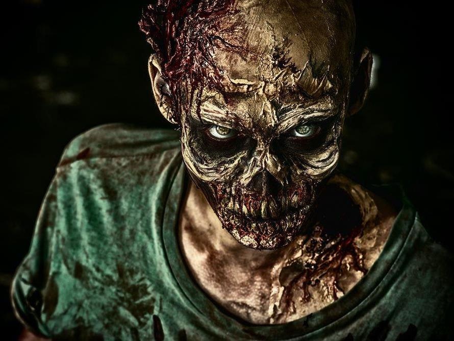 Cho tron an toan nhat neu xay ra dai dich zombie hinh anh