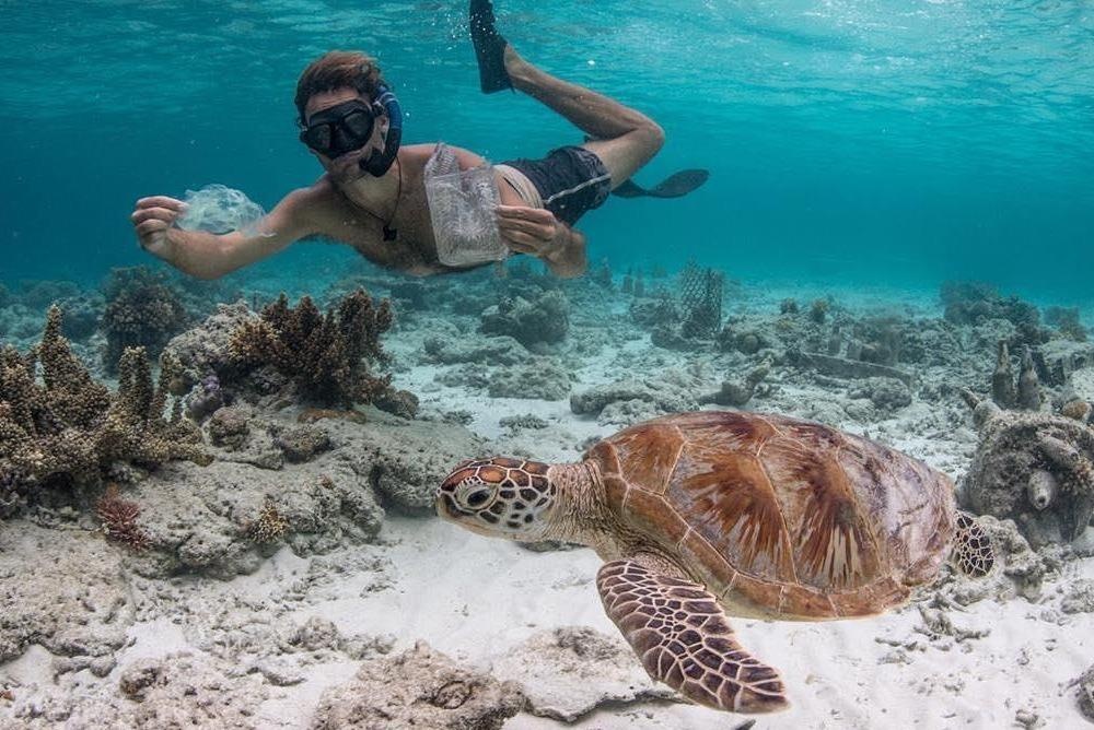 Boi cung rua va nhung hoat dong thu vi tai thien duong bi bo quen hinh anh