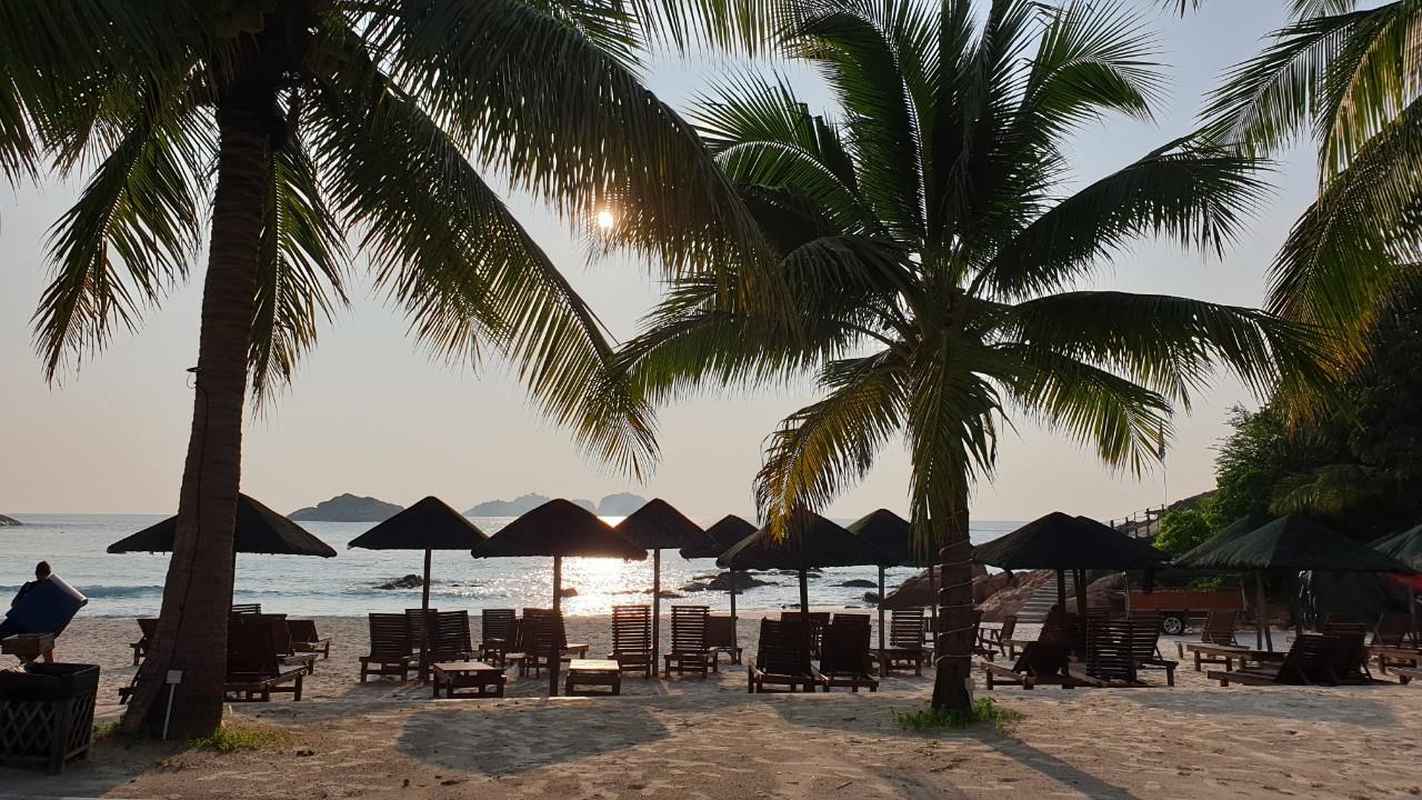 boi cung rua tren bien anh 6