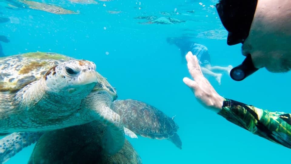 boi cung rua tren bien anh 1