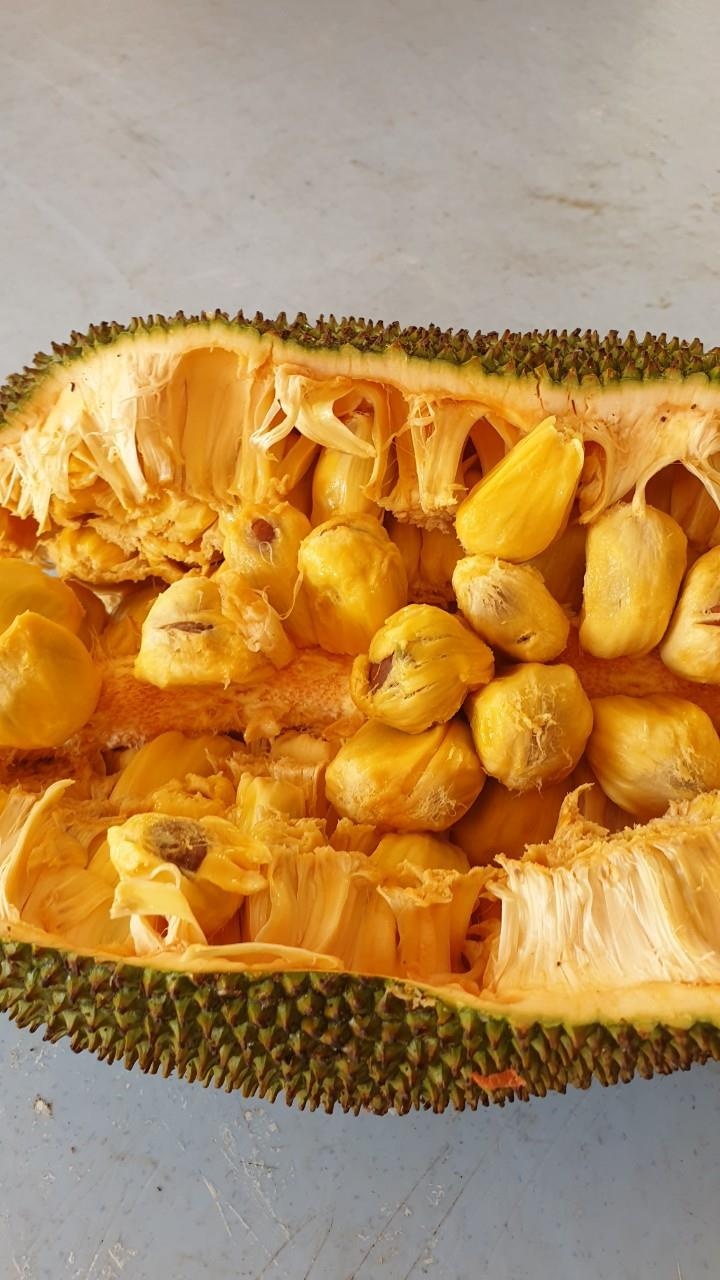 boi cung rua tren bien anh 12