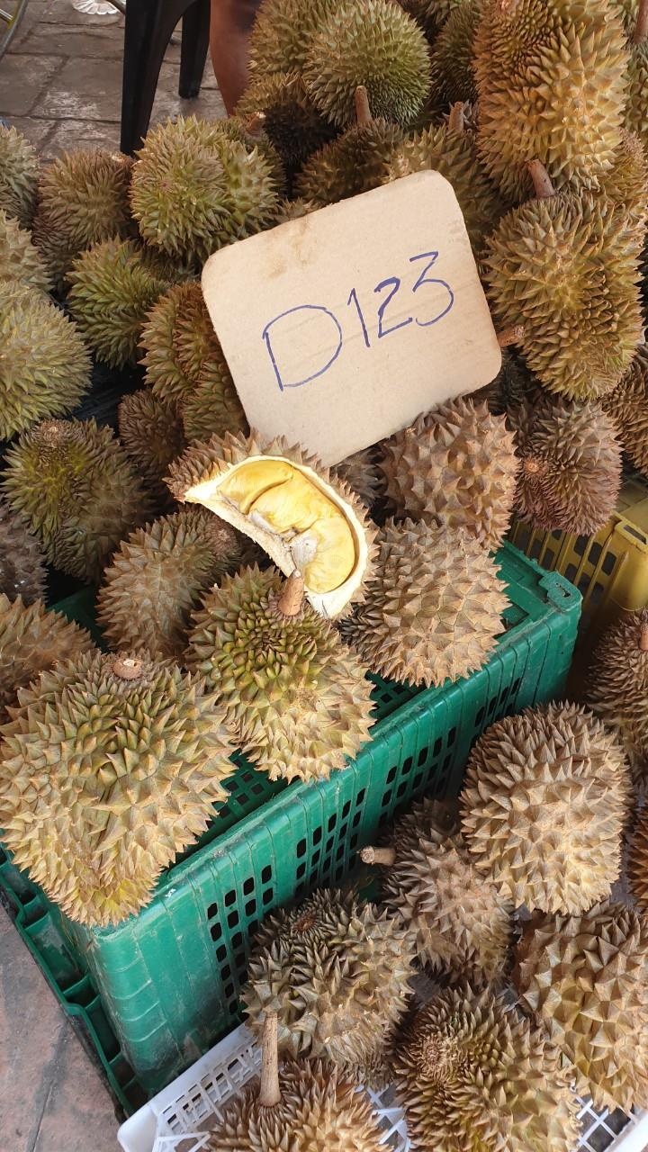 boi cung rua tren bien anh 13