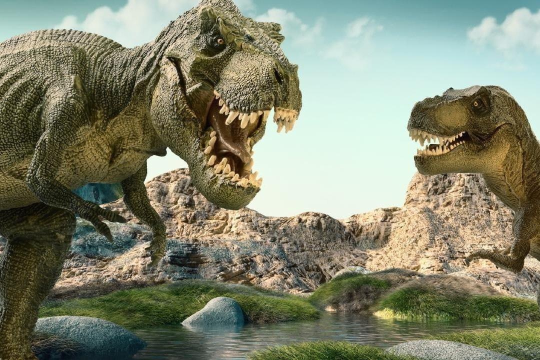 Nghich ly khung long bao chua nguoi to tay teo chua co loi giai hinh anh