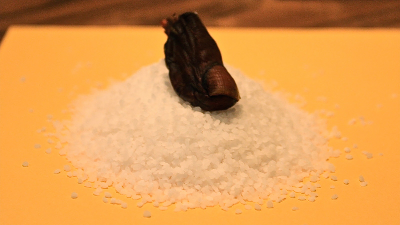 do uong kinh di tren trai dat anh 1