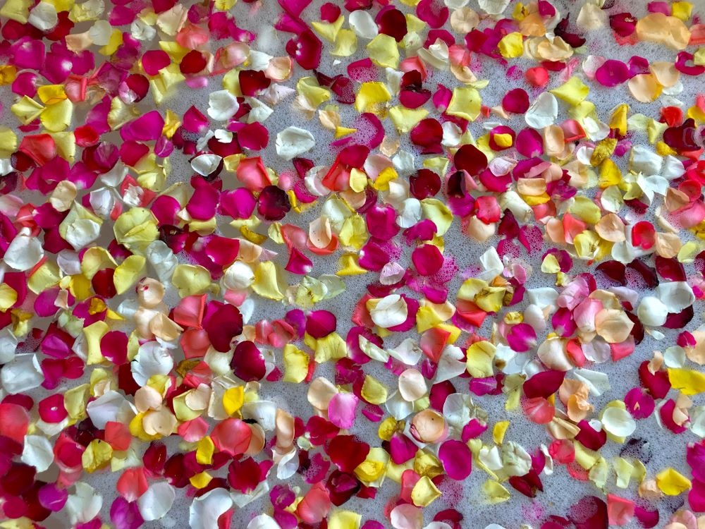 tam hoa o bali anh 5