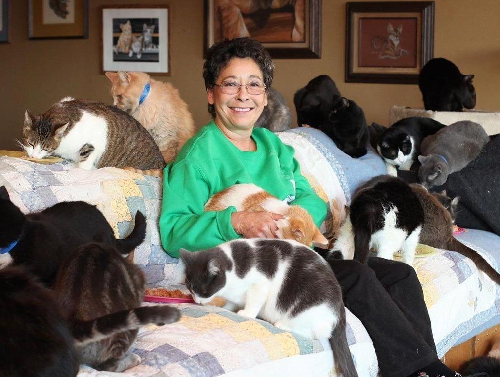 Nguoi phu nu ban xe, chi tien de cuu mang 1.000 con meo hinh anh