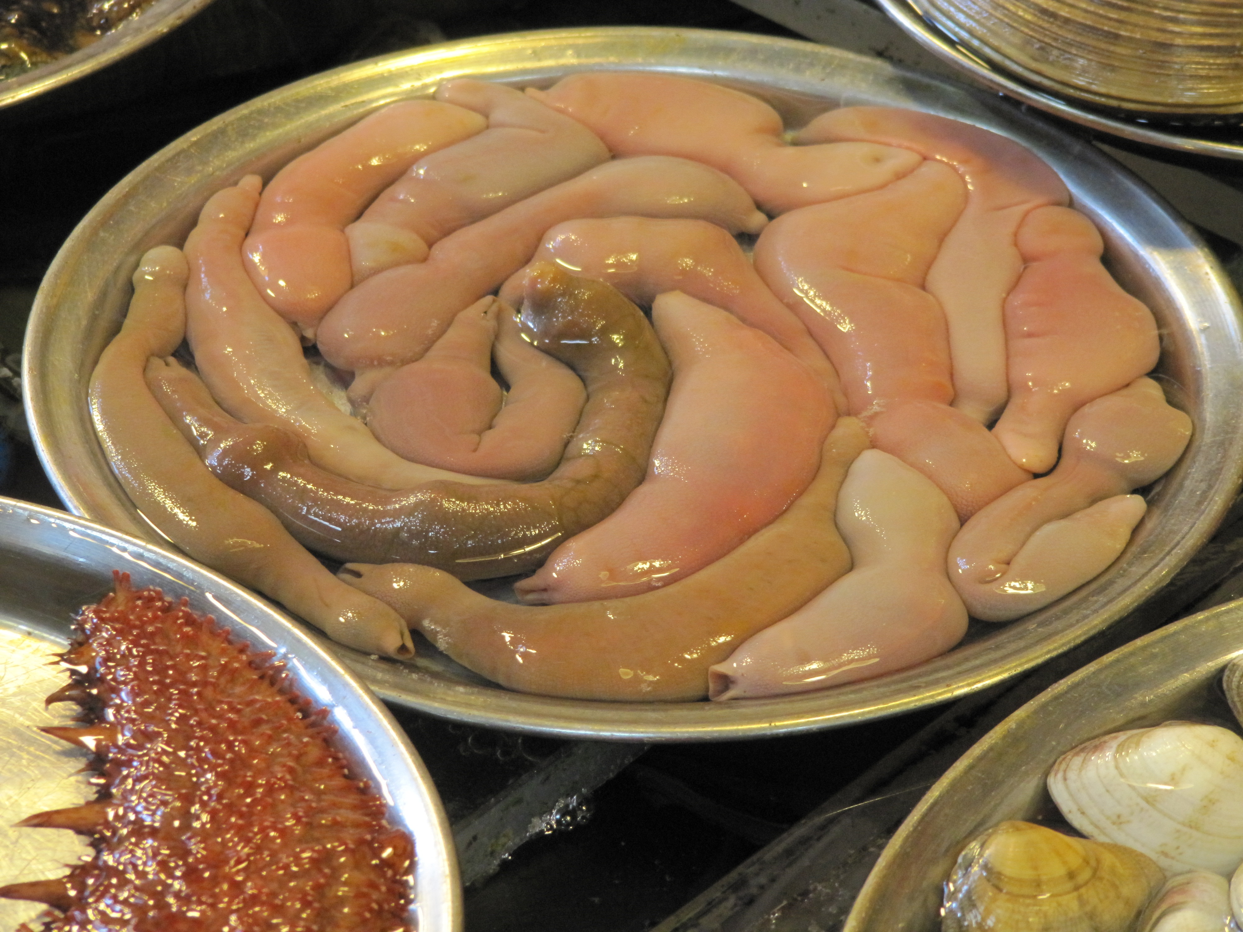 bach tuoc song anh 6