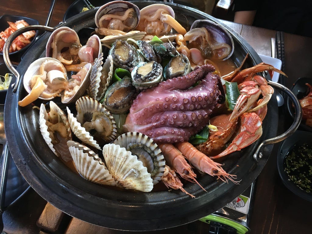 bach tuoc song anh 2