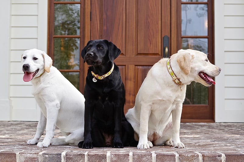 justin bieber anh 16