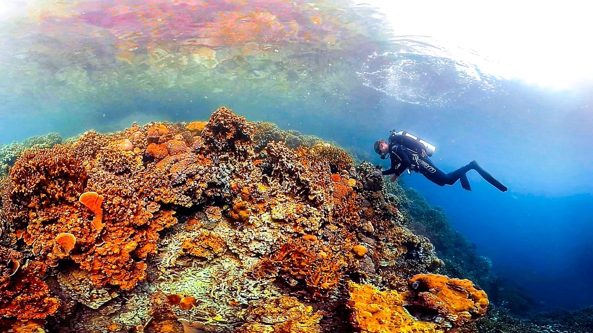 bien doi khi hau anh 9