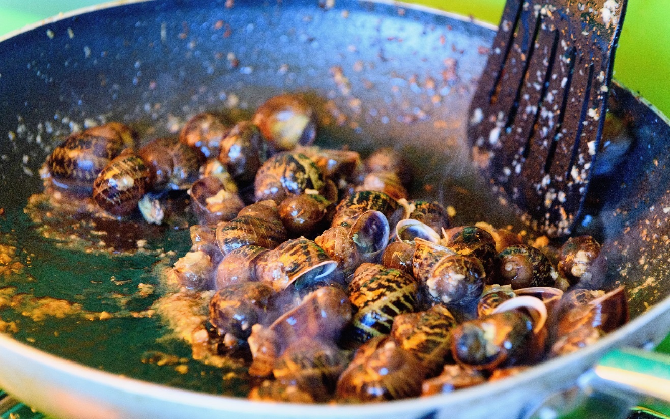 oc sen escargot anh 4