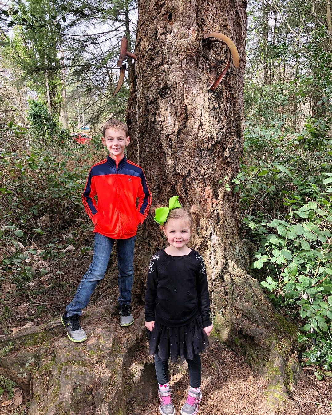 cay moc xe dap anh 2