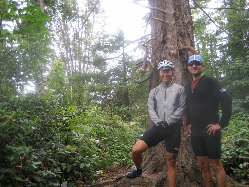 cay moc xe dap anh 4