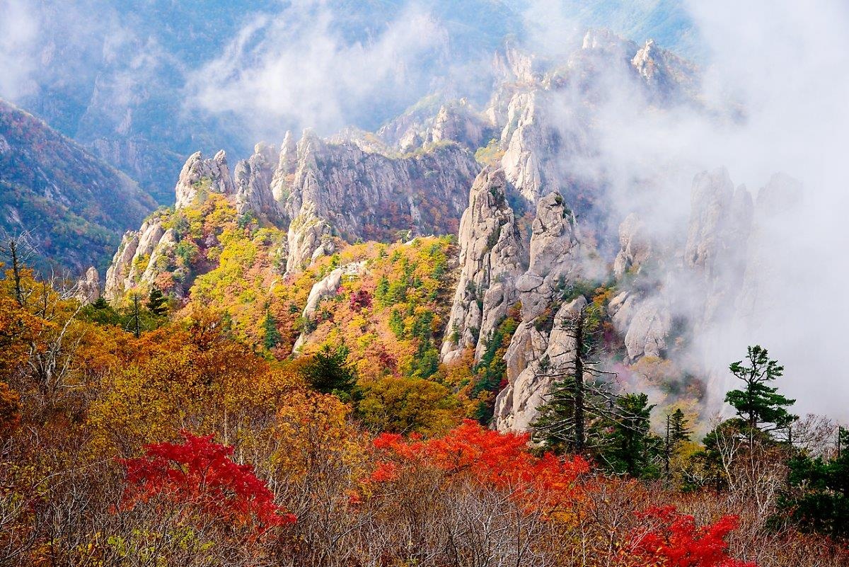 Mua la chuyen mau dep tua tien canh o vung nui Han Quoc hinh anh