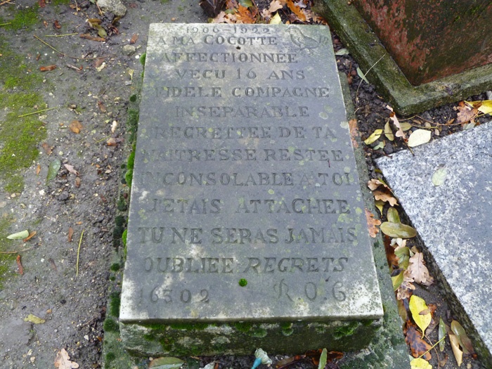 nghia trang cho meo anh 6