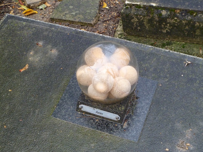 nghia trang cho meo anh 11