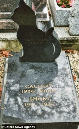 nghia trang cho meo anh 7