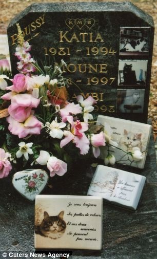 nghia trang cho meo anh 15