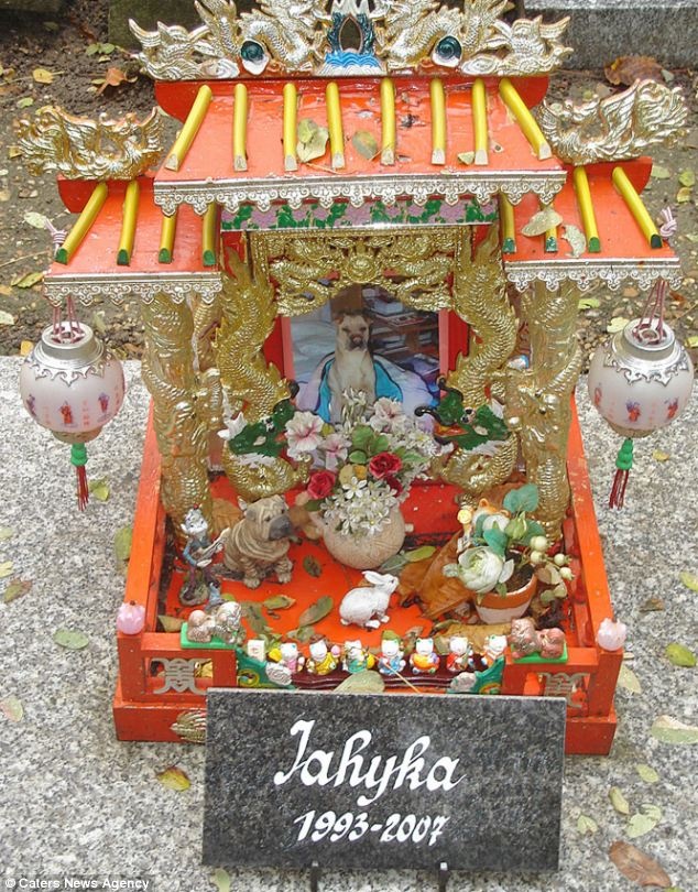 nghia trang cho meo anh 13