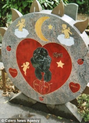 nghia trang cho meo anh 12