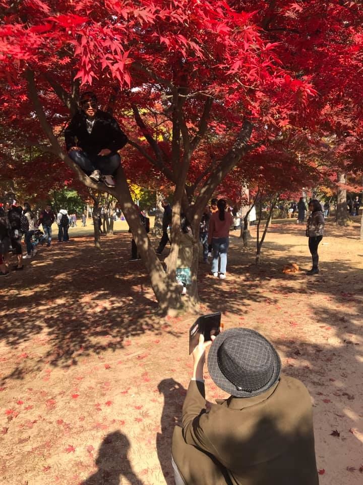 khách việt ở hàn quốc ảnh 1 khach viet o han quoc anh 1