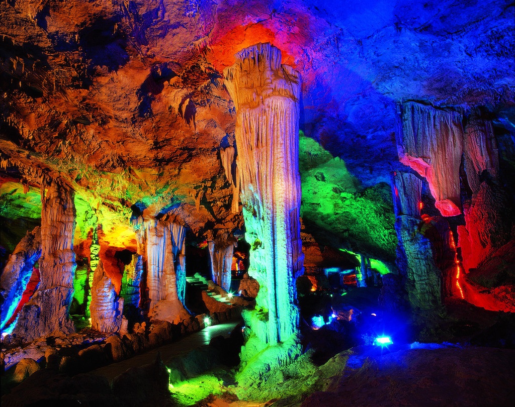 truong gia gioi anh 8