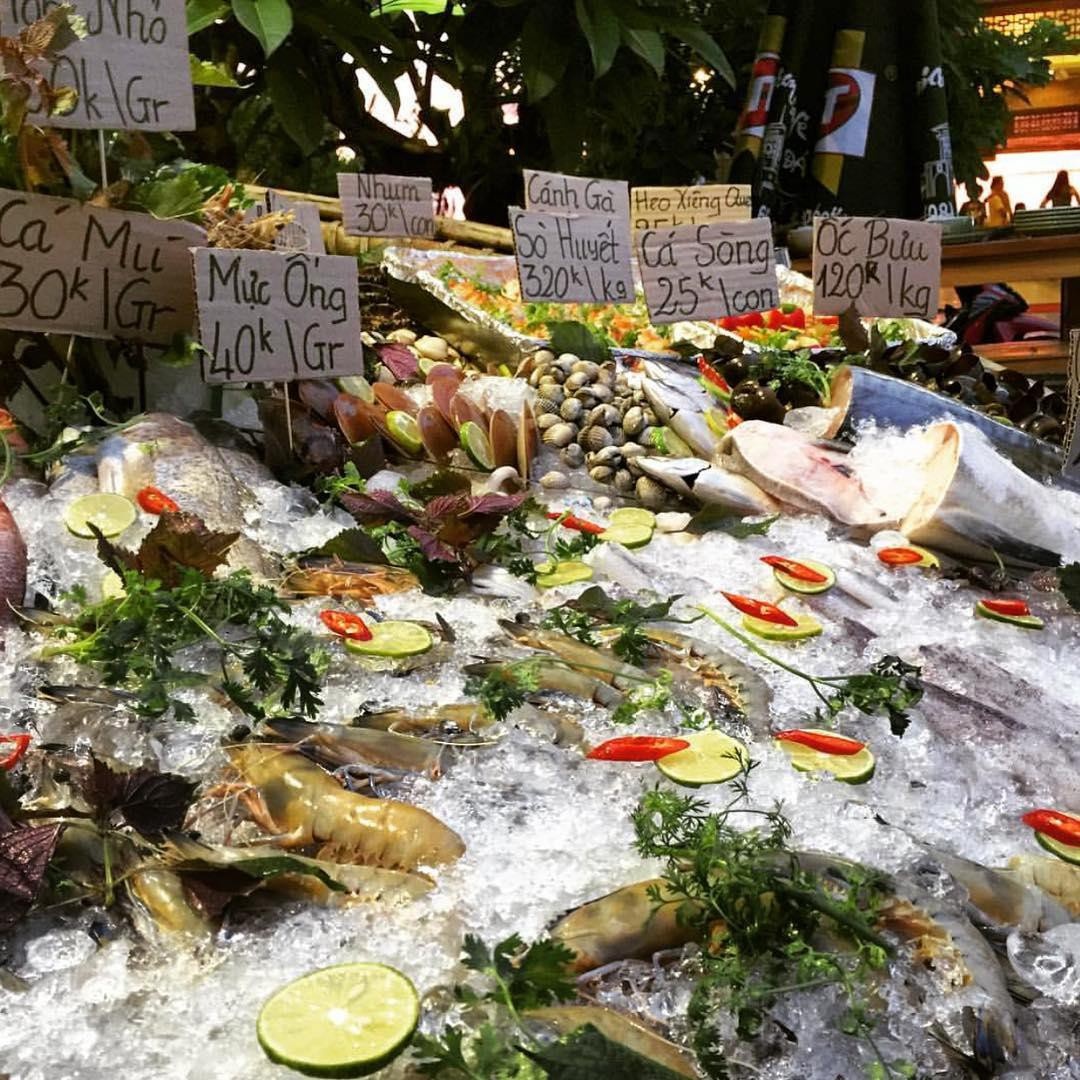 hai san phu quoc anh 11