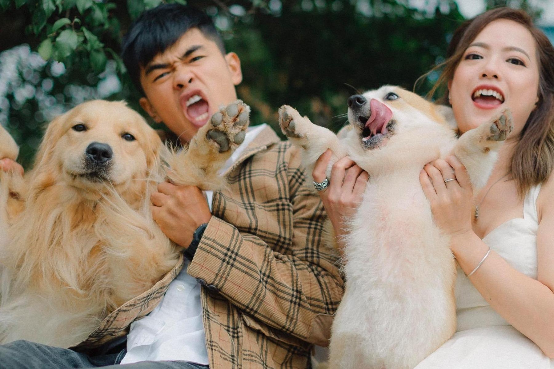 Quan ca phe gan 40 con cho hut khach o Da Lat hinh anh