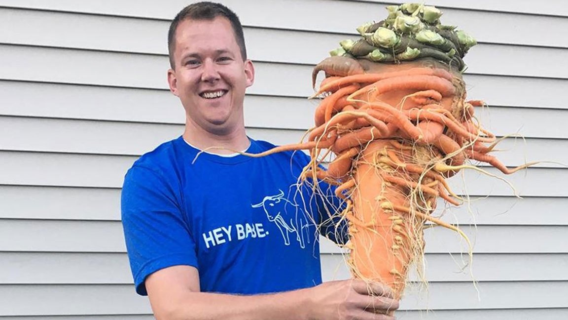 ky luc guinness anh 2