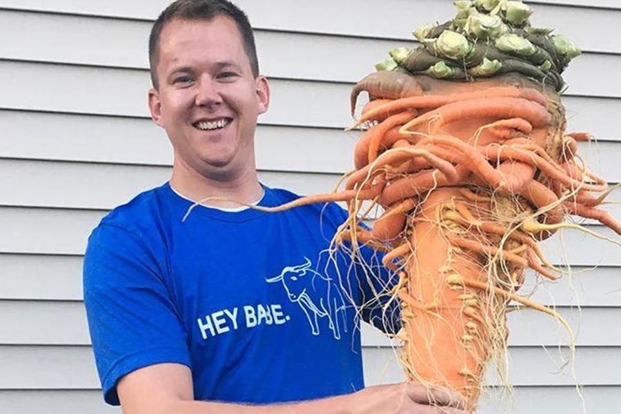 Soi mi dai 3.000 m va nhung ky luc Guinness ve am thuc hinh anh