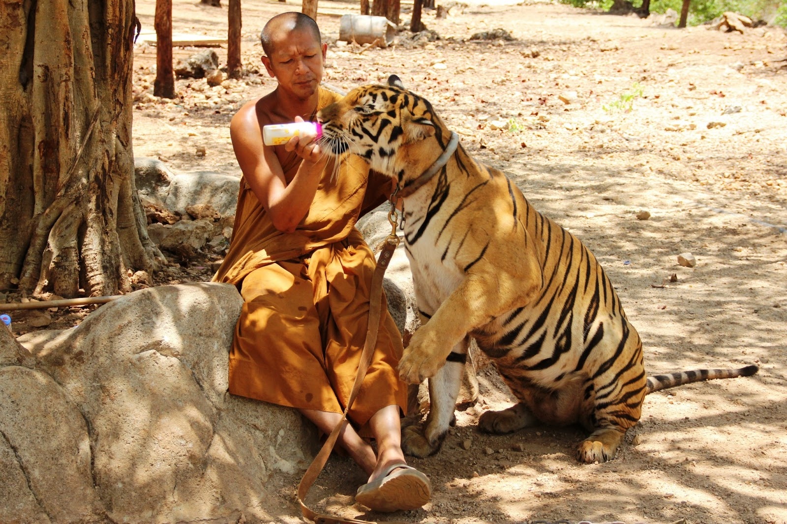 khách nước ngoài ảnh 1 khach nuoc ngoai anh 1