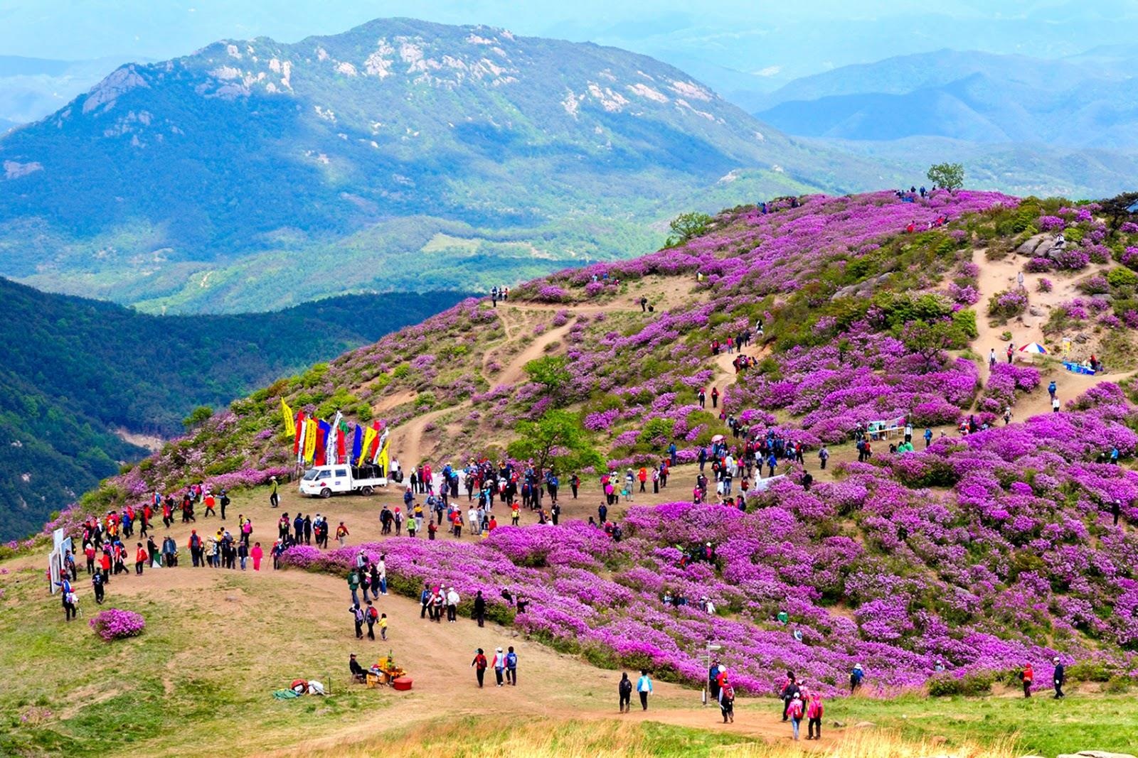 Ve binh yen giua nui rung o que nha ong Park hinh anh