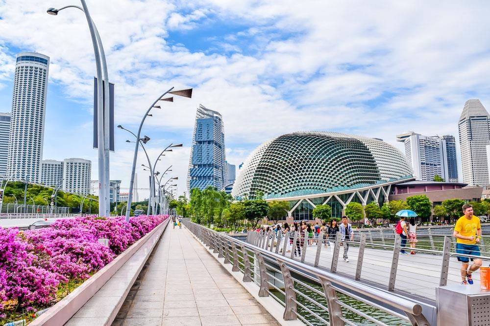 Singapore chuan bi doi mat van de rac thai hinh anh