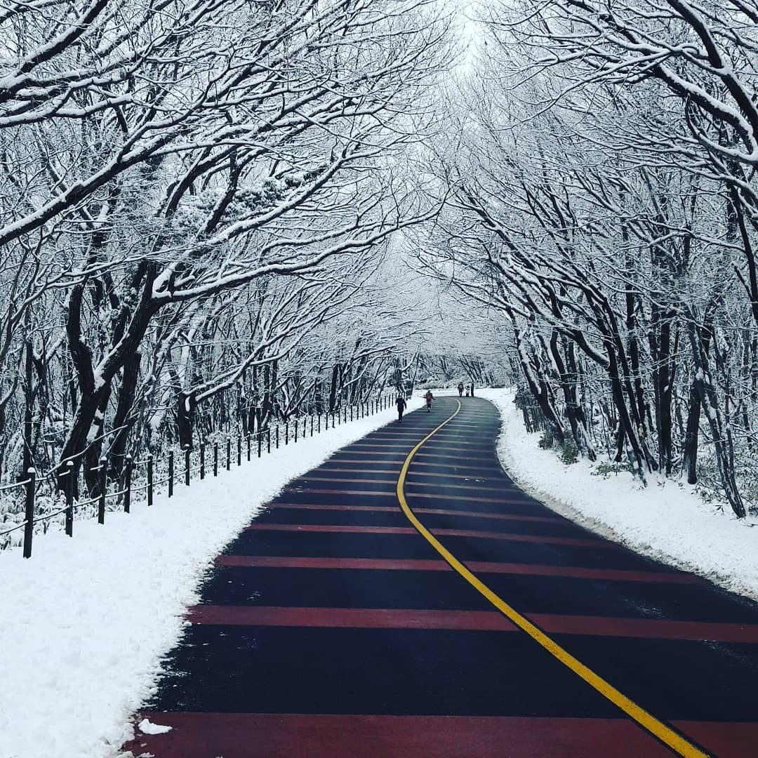 sa pa tuyet roi anh 6