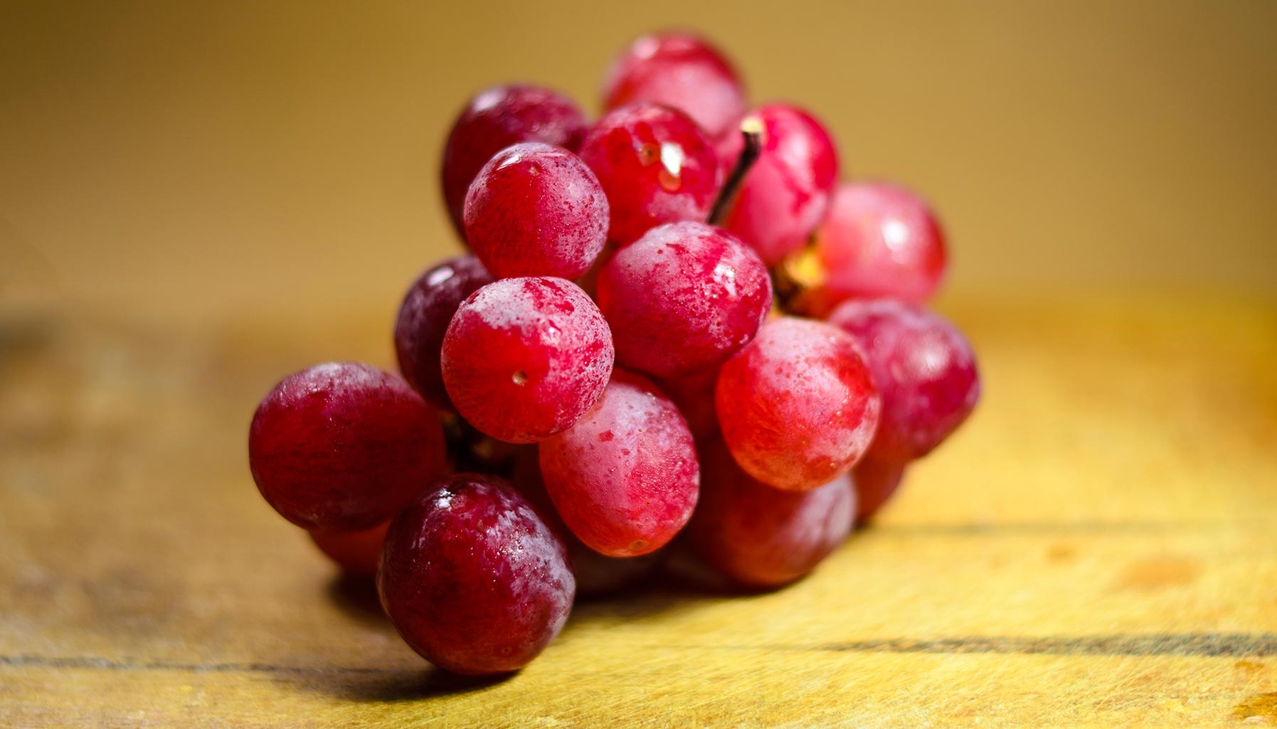 hoa qua dat nhat anh 5